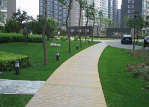 室外綠化養(yǎng)護16